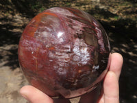 Polished Petrified Red Podocarpus Wood Sphere & Rosewood Stand  x 2 From Mahajanga, Madagascar - TopRock