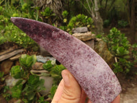 Polished Purple Lepidolite Free Forms  x 4 From Zimbabwe - Toprock Gemstones and Minerals 