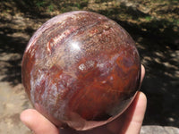 Polished Petrified Red Podocarpus Wood Sphere & Rosewood Stand  x 2 From Mahajanga, Madagascar - TopRock