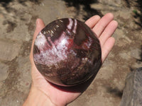 Polished Petrified Red Podocarpus Wood Sphere & Rosewood Stand  x 2 From Mahajanga, Madagascar - TopRock