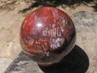 Polished Petrified Red Podocarpus Wood Sphere & Rosewood Stand  x 2 From Mahajanga, Madagascar - TopRock