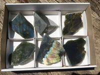 Polished One Side Polished Labradorite Slices  x 12 From Madagascar - TopRock