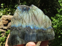 Polished One Side Polished Labradorite Slices  x 12 From Madagascar - TopRock