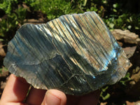 Polished One Side Polished Labradorite Slices  x 12 From Madagascar - TopRock