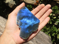 Polished One Side Polished Labradorite Slices  x 12 From Madagascar - TopRock