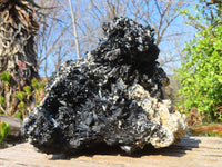 Natural Extra Large Splayed Schorl Black Tourmaline & Vermiculite Specimen x 1 From Erongo, Namibia