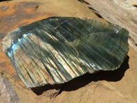 Polished One Side Polished Labradorite Slices  x 12 From Madagascar - TopRock