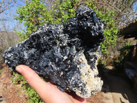 Natural Extra Large Splayed Schorl Black Tourmaline & Vermiculite Specimen x 1 From Erongo, Namibia