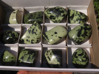 Polished Spotted Leopard Stone Standing Free Forms  x 12 From Nyanga & Shamva, Zimbabwe - Toprock Gemstones and Minerals 