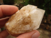 Natural Single Pineapple Candle Quartz Crystals  x 12 From Antsirabe, Madagascar - Toprock Gemstones and Minerals 