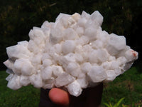 Natural White Quartz Clusters x 5 From Madagascar - TopRock