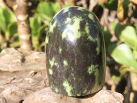 Polished Spotted Leopard Stone Standing Free Forms  x 12 From Nyanga & Shamva, Zimbabwe - Toprock Gemstones and Minerals 