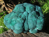 Natural Solid Heavy Etched Botryoidal Malachite Specimen x 1 From Kambove, Congo - TopRock