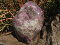 Polished Rubellite Standing Free Forms x 2 From Madagascar - TopRock