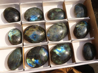 Polished  Flashy Labradorite Palm Stones  x 12 From Tulear, Madagascar