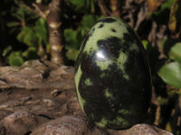 Polished Spotted Leopard Stone Standing Free Forms  x 12 From Nyanga & Shamva, Zimbabwe - Toprock Gemstones and Minerals 