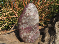 Polished Rubellite Standing Free Forms x 2 From Madagascar - TopRock