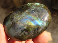 Polished  Flashy Labradorite Palm Stones  x 12 From Tulear, Madagascar