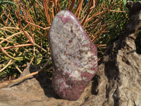 Polished Rubellite Standing Free Forms x 2 From Madagascar - TopRock