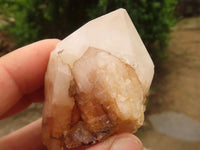 Natural Single Pineapple Candle Quartz Crystals  x 12 From Antsirabe, Madagascar - Toprock Gemstones and Minerals 