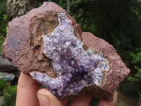 Natural Amethyst Vug Geode Specimens x 12 From Zululand, South Africa - TopRock