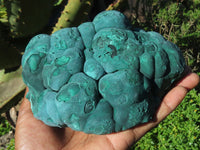 Natural Solid Heavy Etched Botryoidal Malachite Specimen x 1 From Kambove, Congo - TopRock