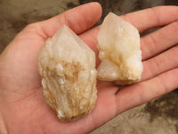 Natural Single Pineapple Candle Quartz Crystals  x 12 From Antsirabe, Madagascar - Toprock Gemstones and Minerals 