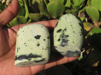 Polished Spotted Leopard Stone Standing Free Forms  x 12 From Nyanga & Shamva, Zimbabwe - Toprock Gemstones and Minerals 