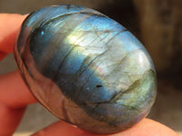 Polished  Flashy Labradorite Palm Stones  x 12 From Tulear, Madagascar