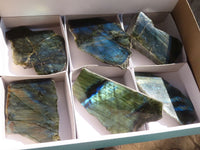 Polished One Side Polished Labradorite Slices  x 6 From Tulear, Madagascar - Toprock Gemstones and Minerals 