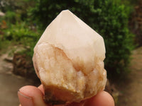 Natural Single Pineapple Candle Quartz Crystals  x 12 From Antsirabe, Madagascar - Toprock Gemstones and Minerals 