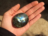 Polished  Flashy Labradorite Palm Stones  x 12 From Tulear, Madagascar