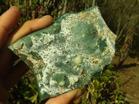 Natural Emerald Mtorolite Chrysoprase Plates  x 3 From Zimbabwe