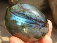 Polished  Flashy Labradorite Palm Stones  x 12 From Tulear, Madagascar