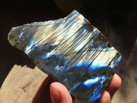 Polished One Side Polished Labradorite Slices  x 6 From Tulear, Madagascar - Toprock Gemstones and Minerals 