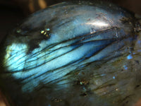 Polished  Flashy Labradorite Palm Stones  x 12 From Tulear, Madagascar