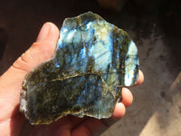 Polished One Side Polished Labradorite Slices  x 6 From Tulear, Madagascar - Toprock Gemstones and Minerals 