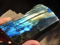 Polished One Side Polished Labradorite Slices  x 6 From Tulear, Madagascar - Toprock Gemstones and Minerals 