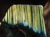 Polished One Side Polished Labradorite Slices  x 6 From Tulear, Madagascar - Toprock Gemstones and Minerals 