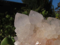 Natural White Spirit Quartz Clusters  x 6 From Boekenhouthoek, South Africa - Toprock Gemstones and Minerals 