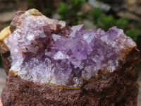 Natural Amethyst Vug Geode Specimens x 12 From Zululand, South Africa - TopRock