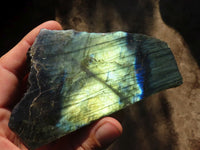 Polished One Side Polished Labradorite Slices  x 6 From Tulear, Madagascar - Toprock Gemstones and Minerals 