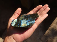 Polished One Side Polished Labradorite Slices  x 6 From Tulear, Madagascar - Toprock Gemstones and Minerals 