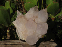 Natural White Spirit Quartz Clusters  x 6 From Boekenhouthoek, South Africa - Toprock Gemstones and Minerals 