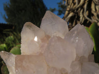 Natural White Spirit Quartz Clusters  x 6 From Boekenhouthoek, South Africa - Toprock Gemstones and Minerals 