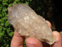 Natural White Phantom Cascading Smokey Quartz Clusters  x 7 From Luena, Congo - Toprock Gemstones and Minerals 