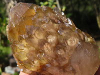 Natural White Phantom Cascading Smokey Quartz Clusters  x 7 From Luena, Congo - Toprock Gemstones and Minerals 