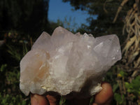 Natural White Spirit Quartz Clusters  x 6 From Boekenhouthoek, South Africa - Toprock Gemstones and Minerals 