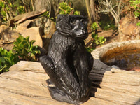 Polished  Black Soapstone Baboon Carving x 1 From Zimbabwe