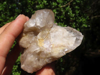 Natural White Phantom Cascading Smokey Quartz Clusters  x 7 From Luena, Congo - Toprock Gemstones and Minerals 